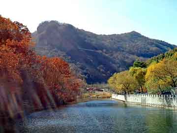 新澳天天开奖资料大全旅游团，骇客小说